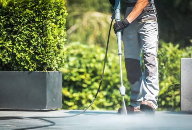 Best Oil Spill Cleanup  in New California, OH
